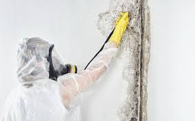 Trusted Sam Rayburn, TX Mold Prevention & Removal  Experts